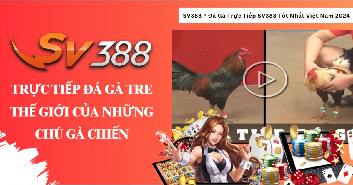 Trực Tiếp Đá Gà Tre – Thế Giới Đầy Hấp Dẫn Của Những Chú Gà Chiến